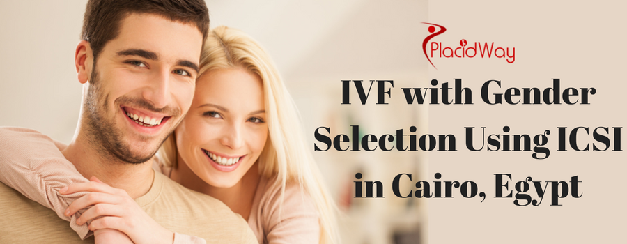 Ivf With Gender Selection Using Icsi In Cairo Egypt